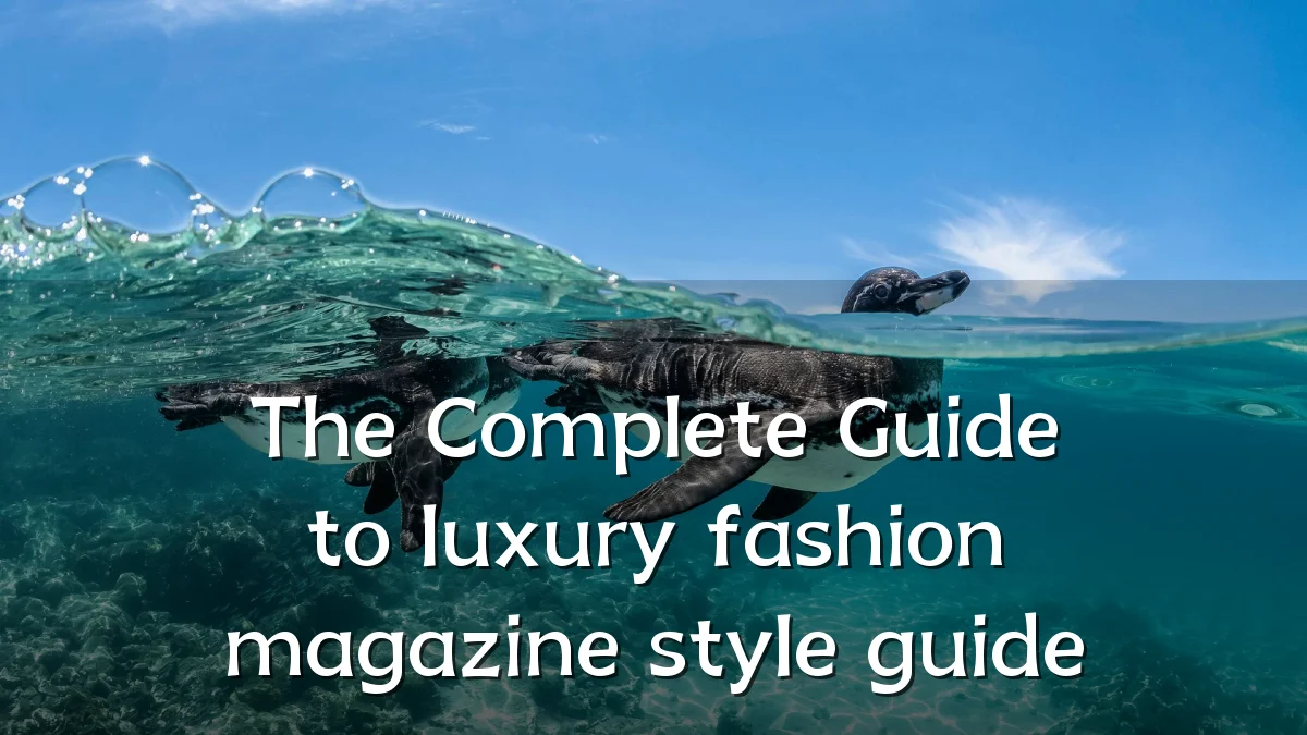 The Complete Guide to luxury fashion magazine style guide