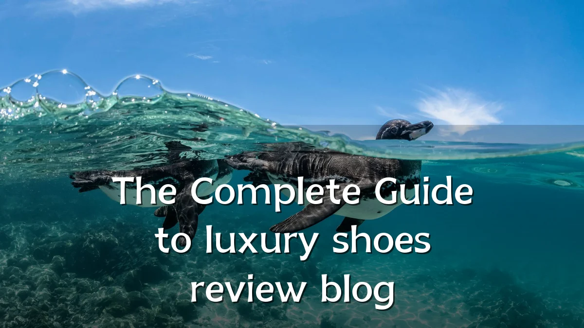 The Complete Guide to luxury shoes review blog