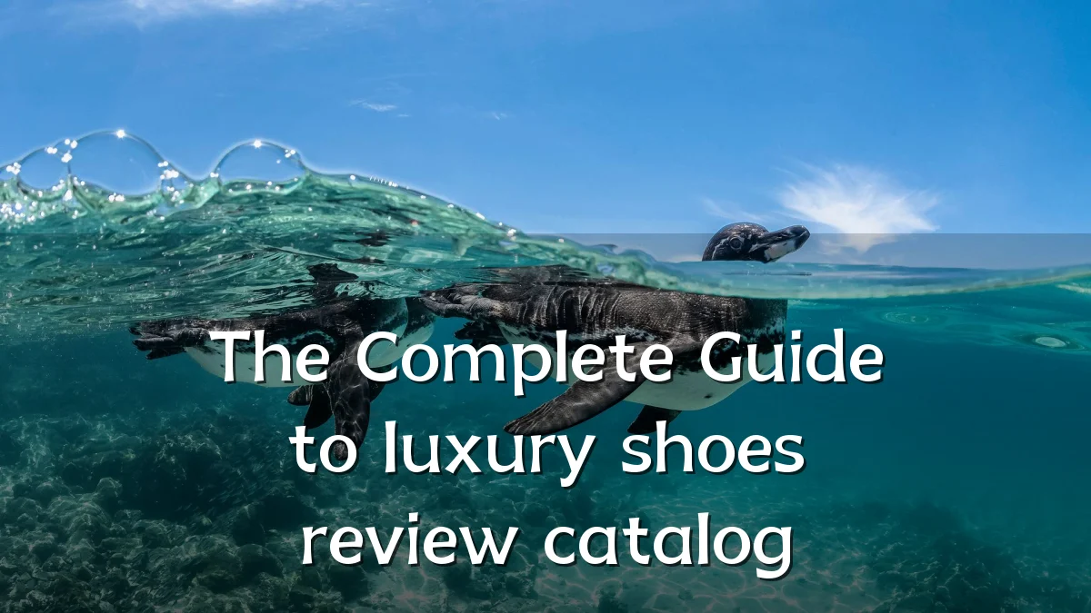 The Complete Guide to luxury shoes review catalog