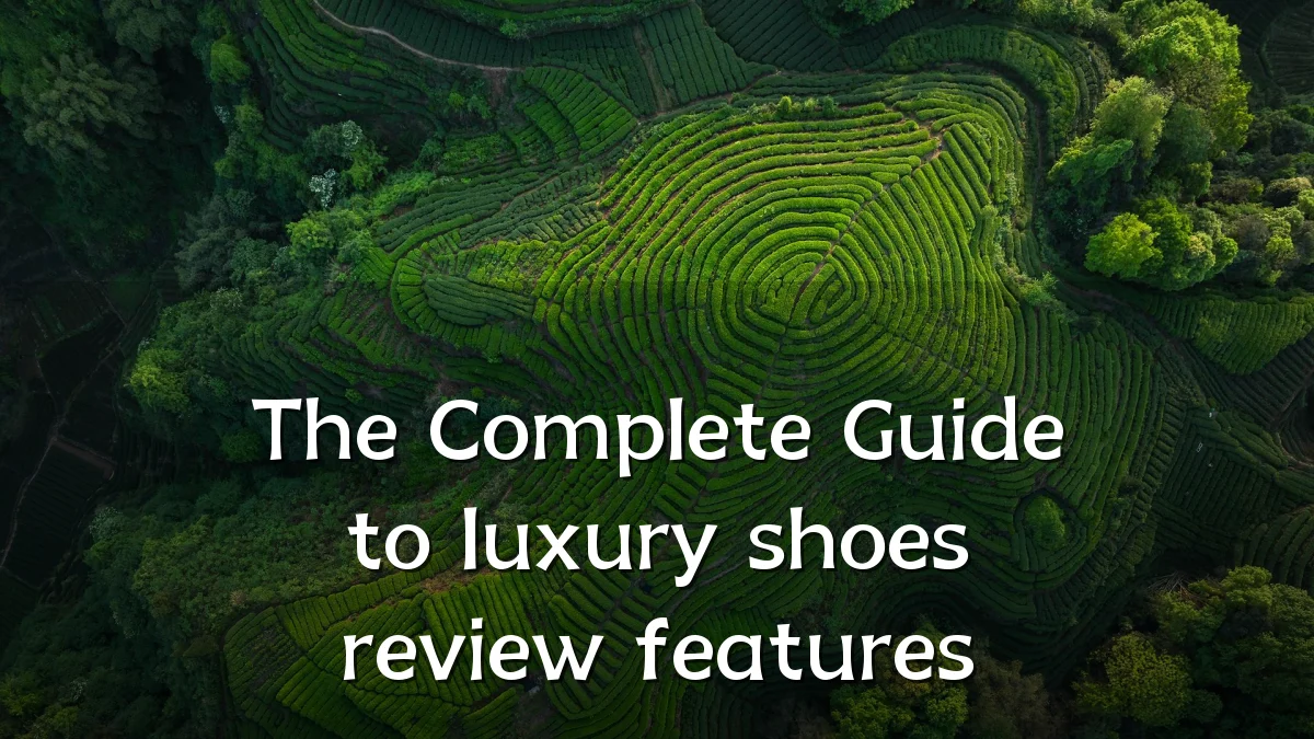 The Complete Guide to luxury shoes review features