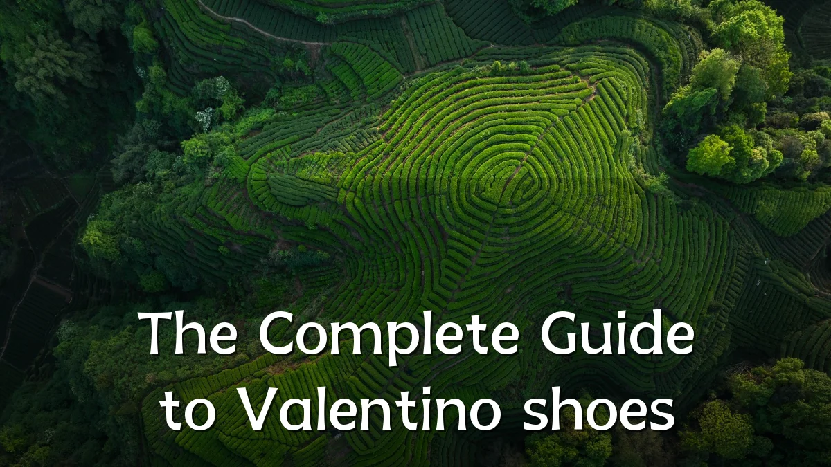 The Complete Guide to Valentino shoes