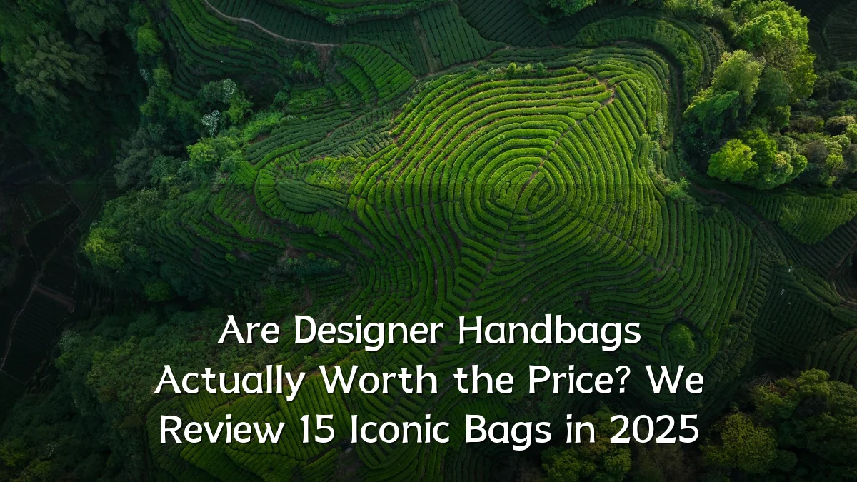 Are Designer Handbags Actually Worth the Price? We Review 15 Iconic Bags in 2025