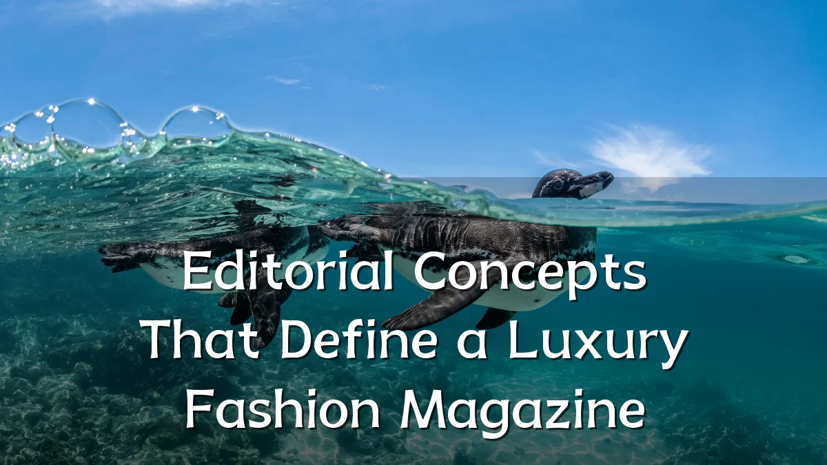Editorial Concepts That Define a Luxury Fashion Magazine