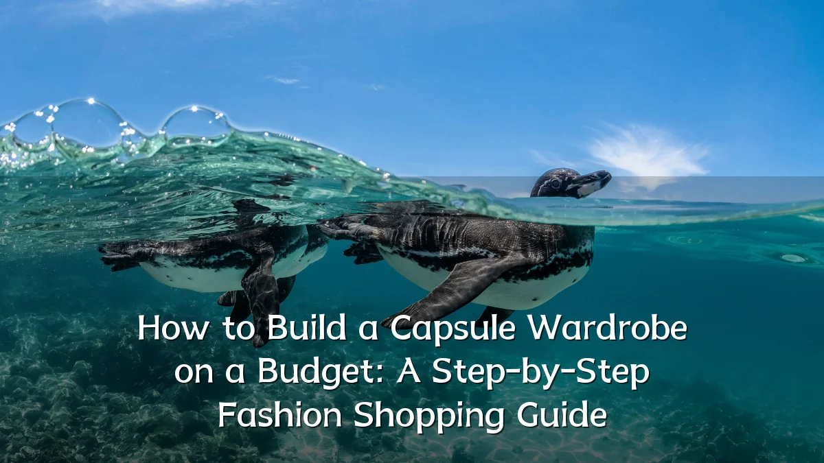 How to Build a Capsule Wardrobe on a Budget: A Step-by-Step Fashion Shopping Guide