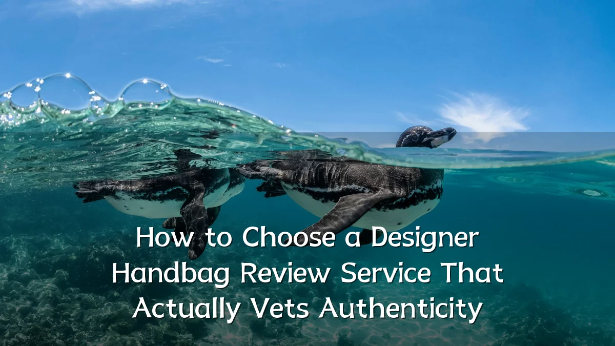 How to Choose a Designer Handbag Review Service That Actually Vets Authenticity