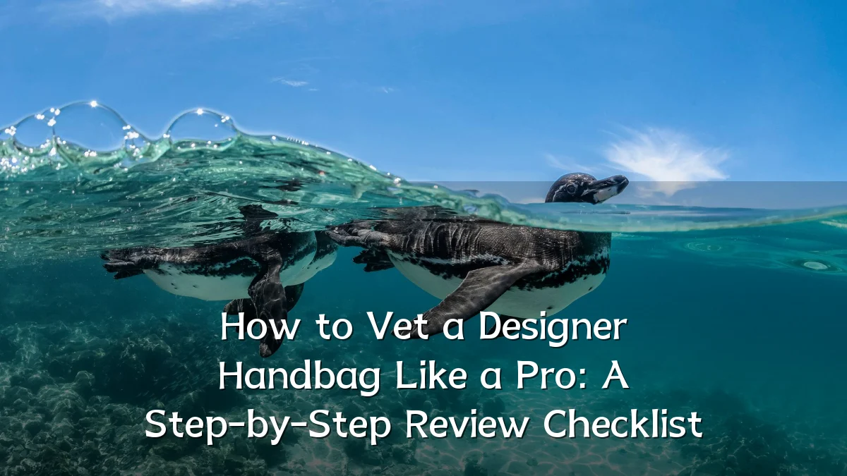 How to Vet a Designer Handbag Like a Pro: A Step-by-Step Review Checklist