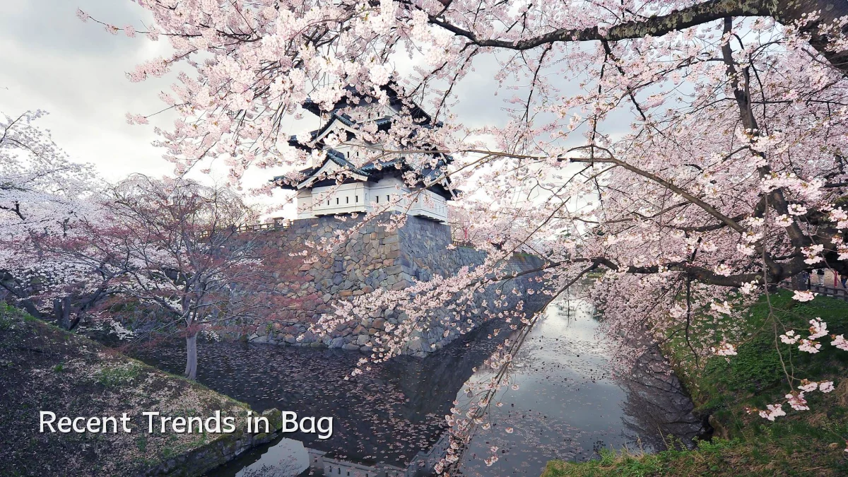 Recent Trends in Bag