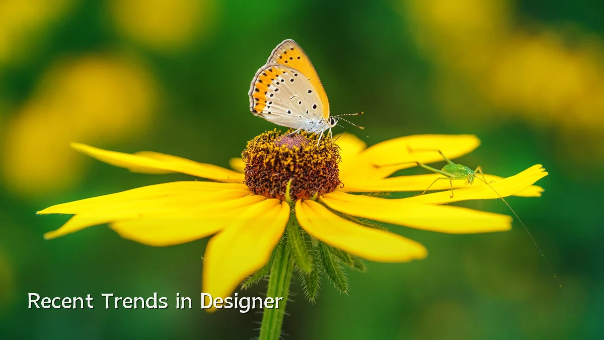 Recent Trends in Designer