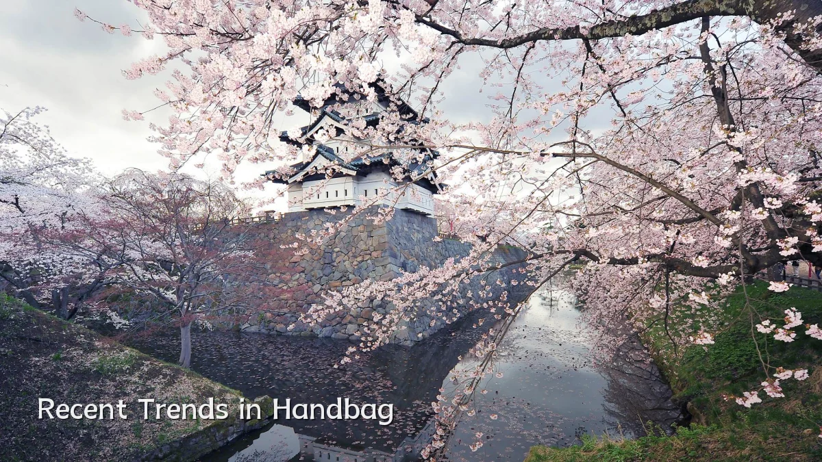 Recent Trends in Handbag