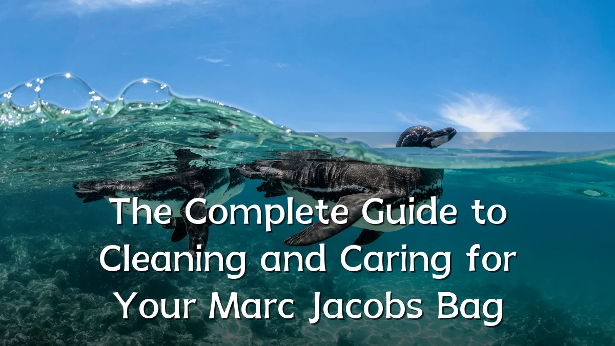 The Complete Guide to Cleaning and Caring for Your Marc Jacobs Bag