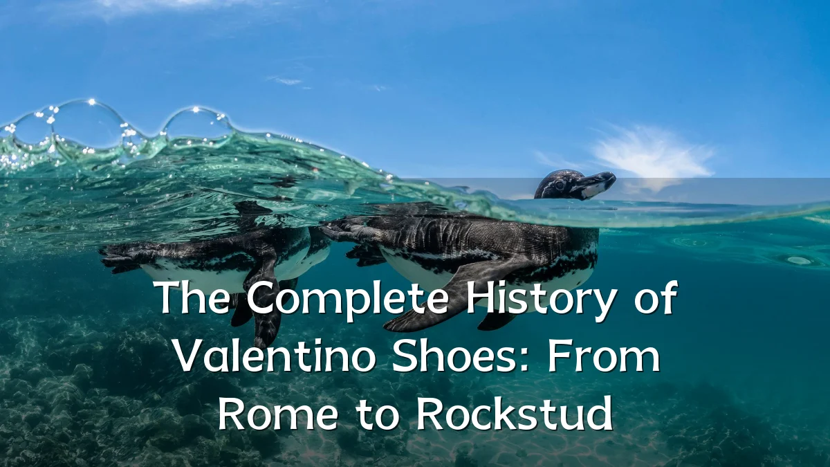 The Complete History of Valentino Shoes: From Rome to Rockstud