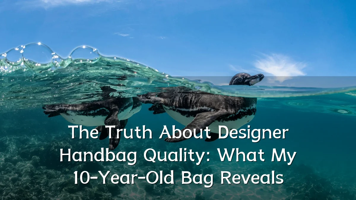 The Truth About Designer Handbag Quality: What My 10-Year-Old Bag Reveals
