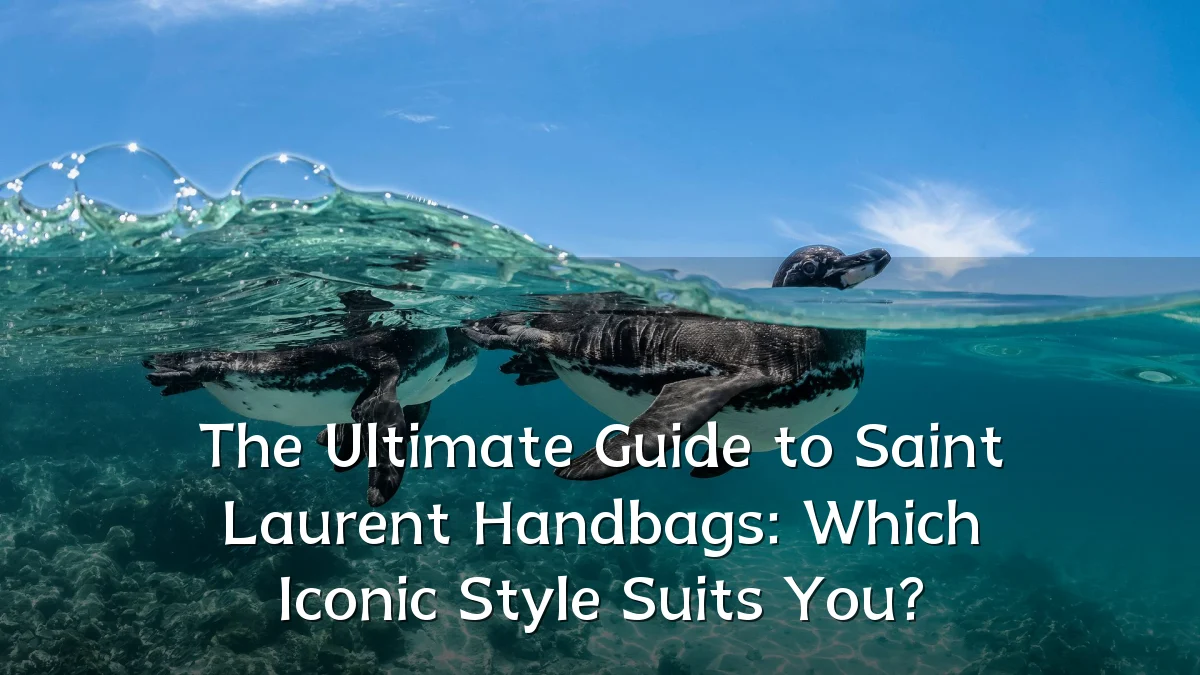 The Ultimate Guide to Saint Laurent Handbags: Which Iconic Style Suits You?