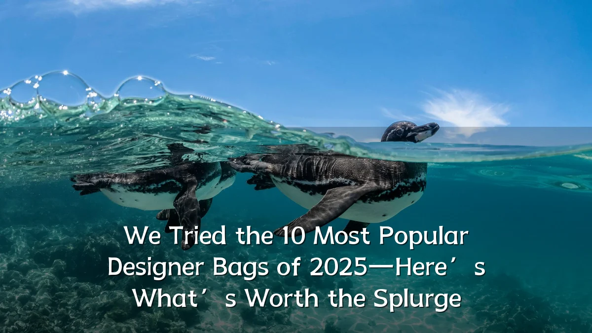 We Tried the 10 Most Popular Designer Bags of 2025—Here’s What’s Worth the Splurge
