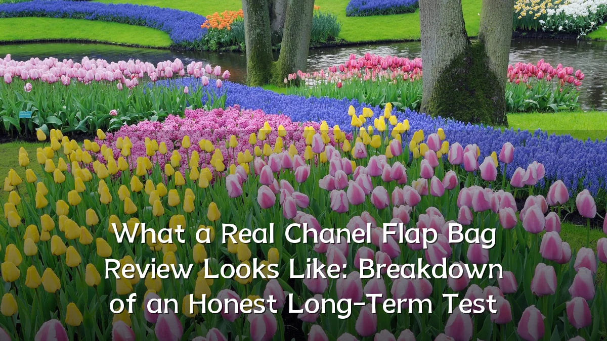 What a Real Chanel Flap Bag Review Looks Like: Breakdown of an Honest Long-Term Test