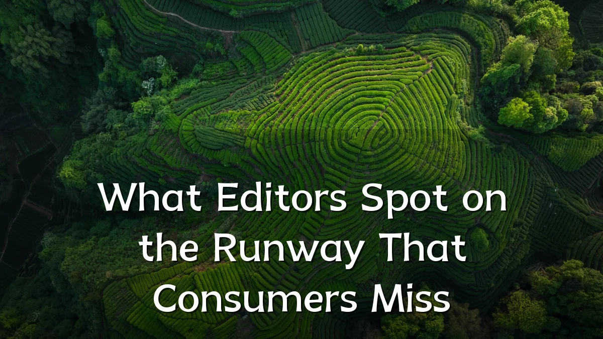 What Editors Spot on the Runway That Consumers Miss