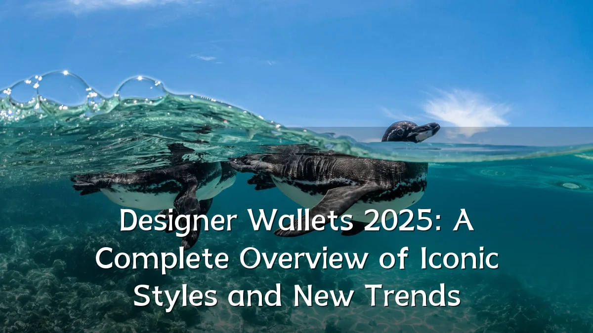 Designer Wallets 2025: A Complete Overview of Iconic Styles and New Trends