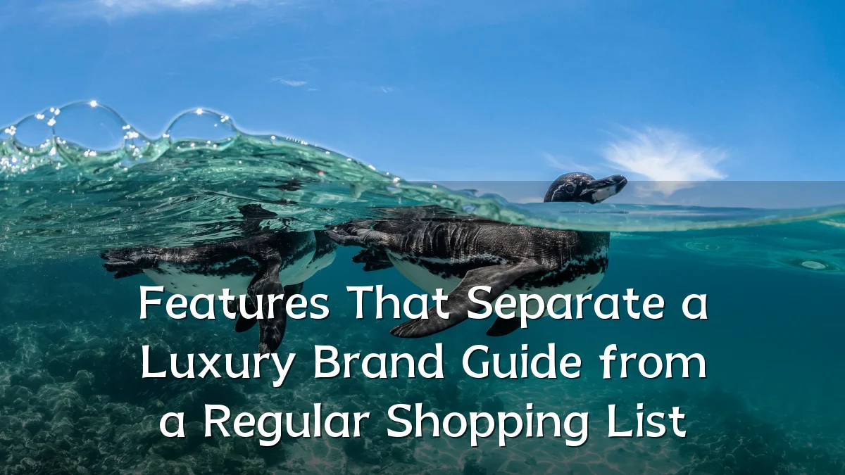 Features That Separate a Luxury Brand Guide from a Regular Shopping List