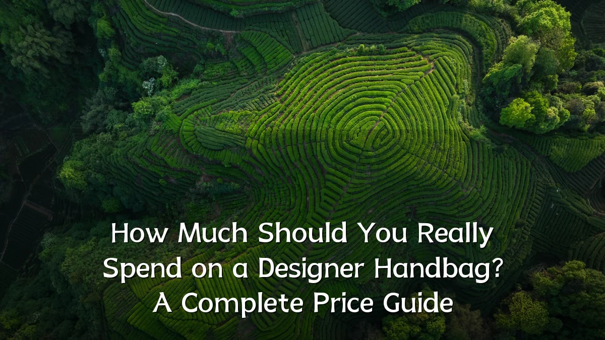 How Much Should You Really Spend on a Designer Handbag? A Complete Price Guide