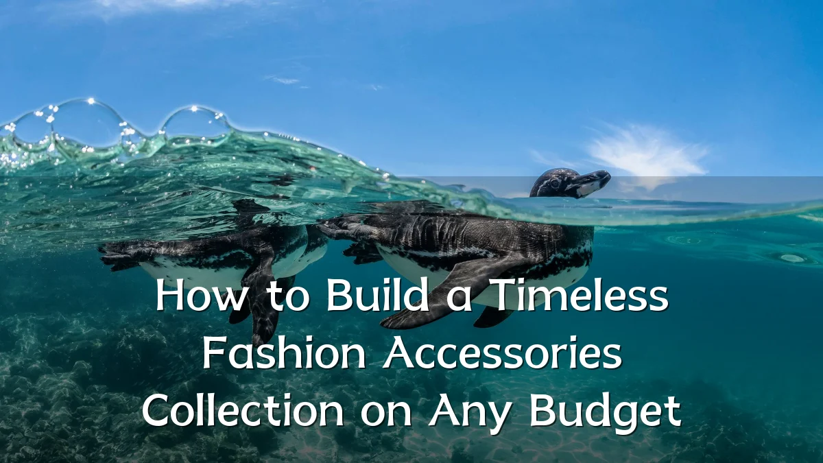 How to Build a Timeless Fashion Accessories Collection on Any Budget