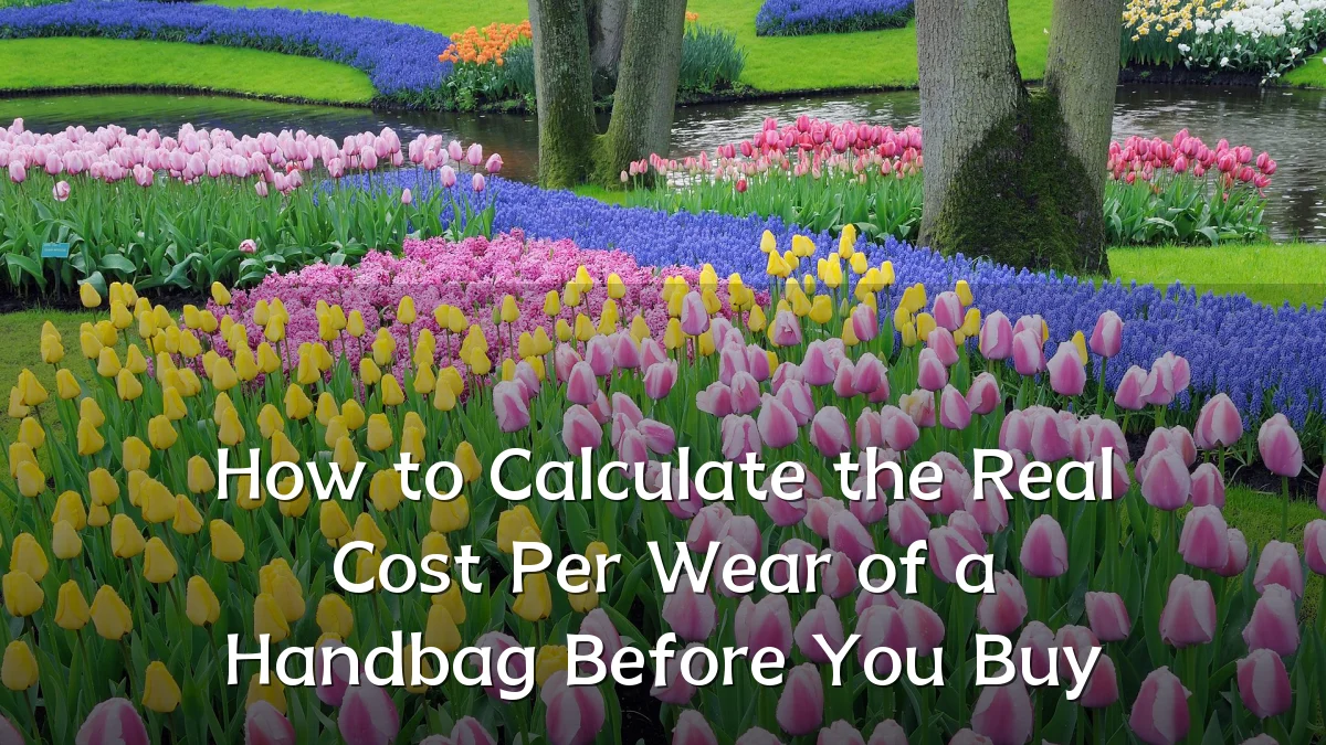 How to Calculate the Real Cost Per Wear of a Handbag Before You Buy
