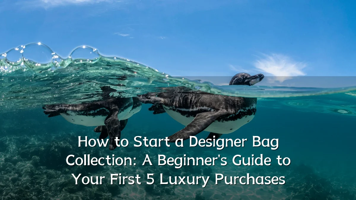 How to Start a Designer Bag Collection: A Beginner's Guide to Your First 5 Luxury Purchases