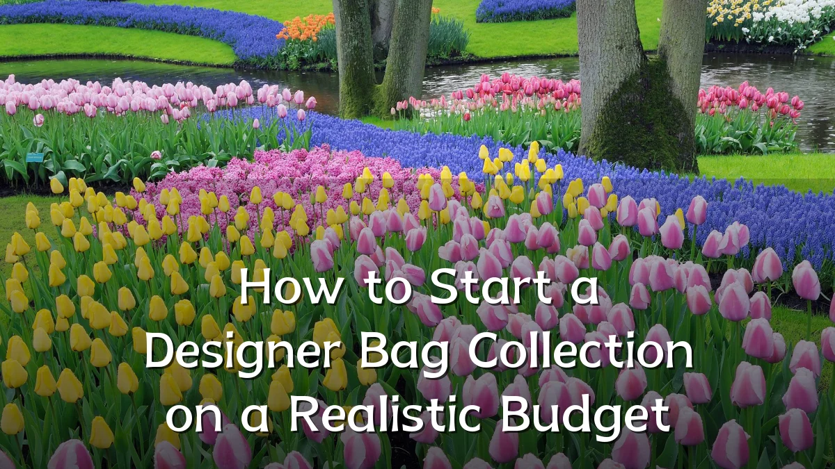 How to Start a Designer Bag Collection on a Realistic Budget