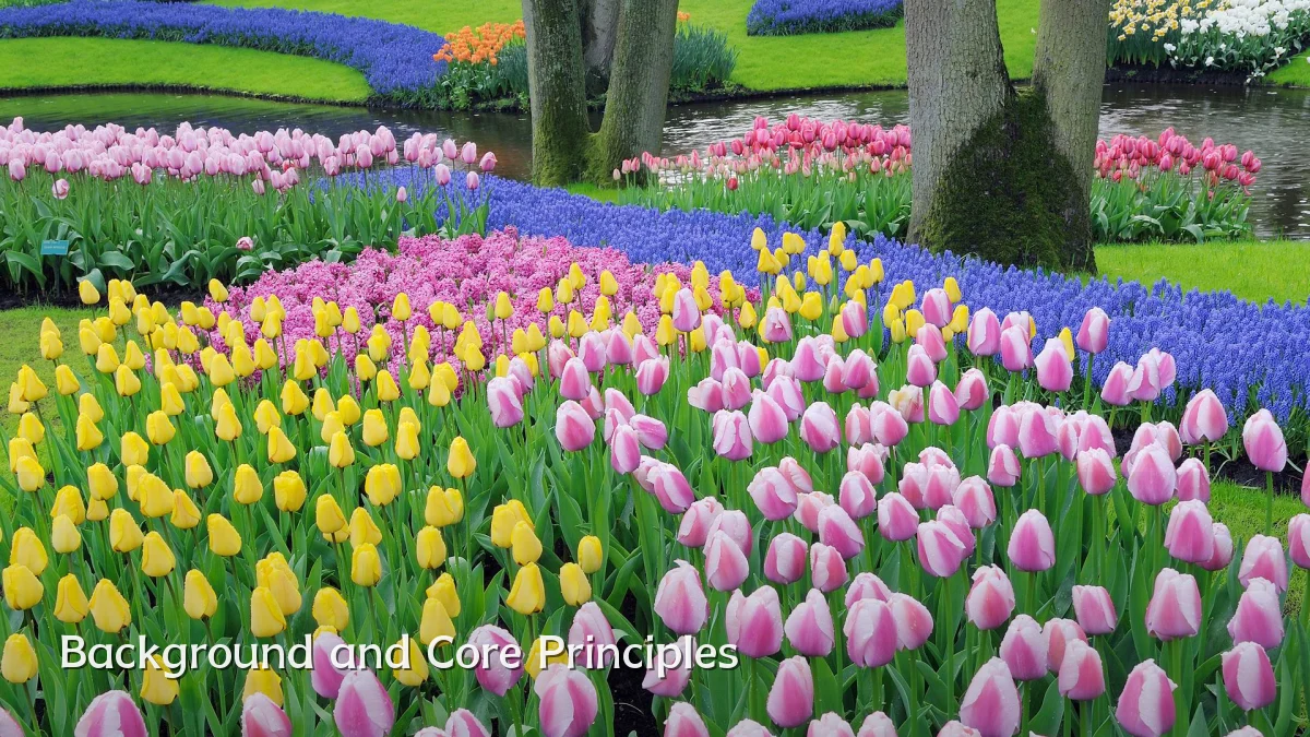 Background and Core Principles