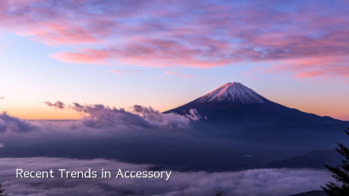 Recent Trends in Accessory