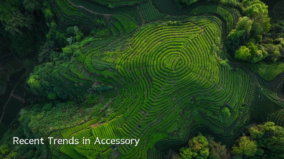 Recent Trends in Accessory