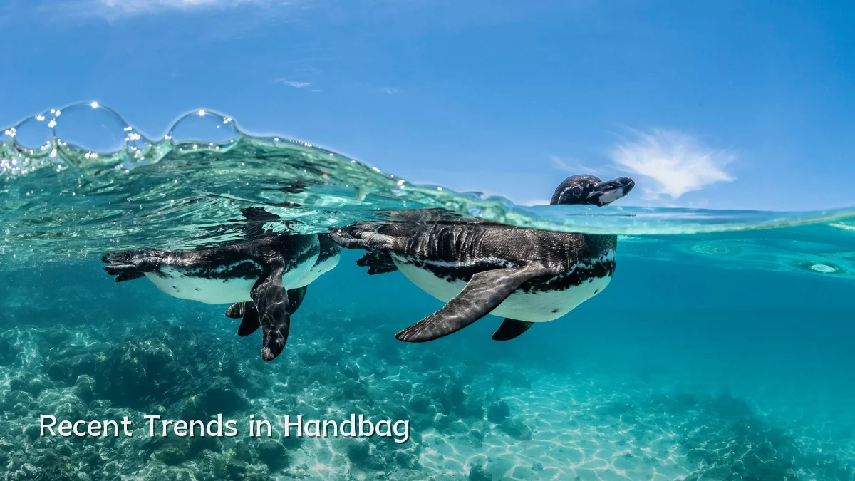 Recent Trends in Handbag