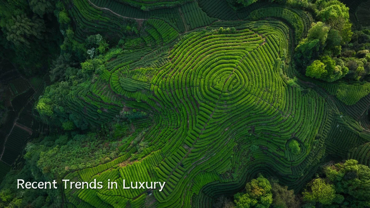 Recent Trends in Luxury