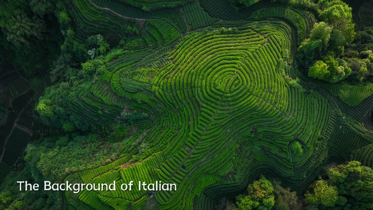 The Background of Italian