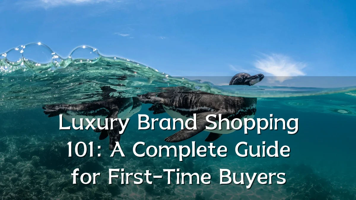 Luxury Brand Shopping 101: A Complete Guide for First-Time Buyers