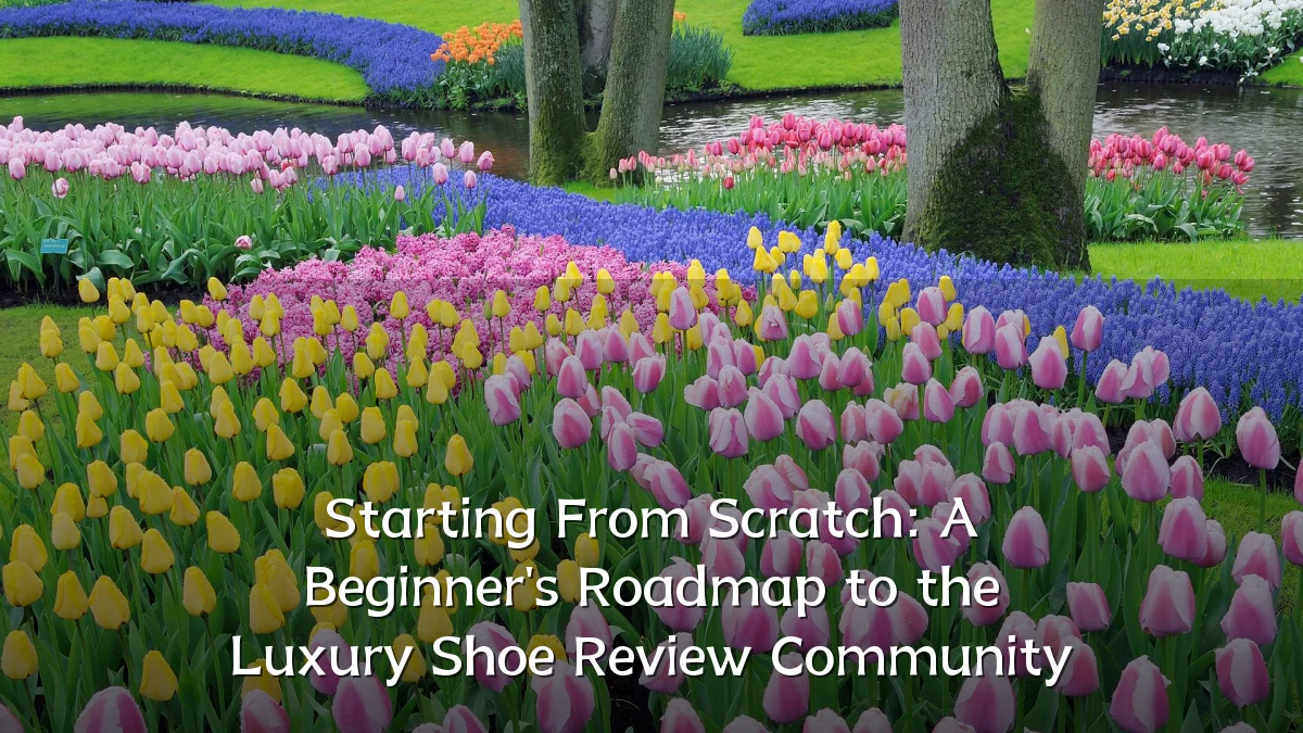 Starting From Scratch: A Beginner's Roadmap to the Luxury Shoe Review Community