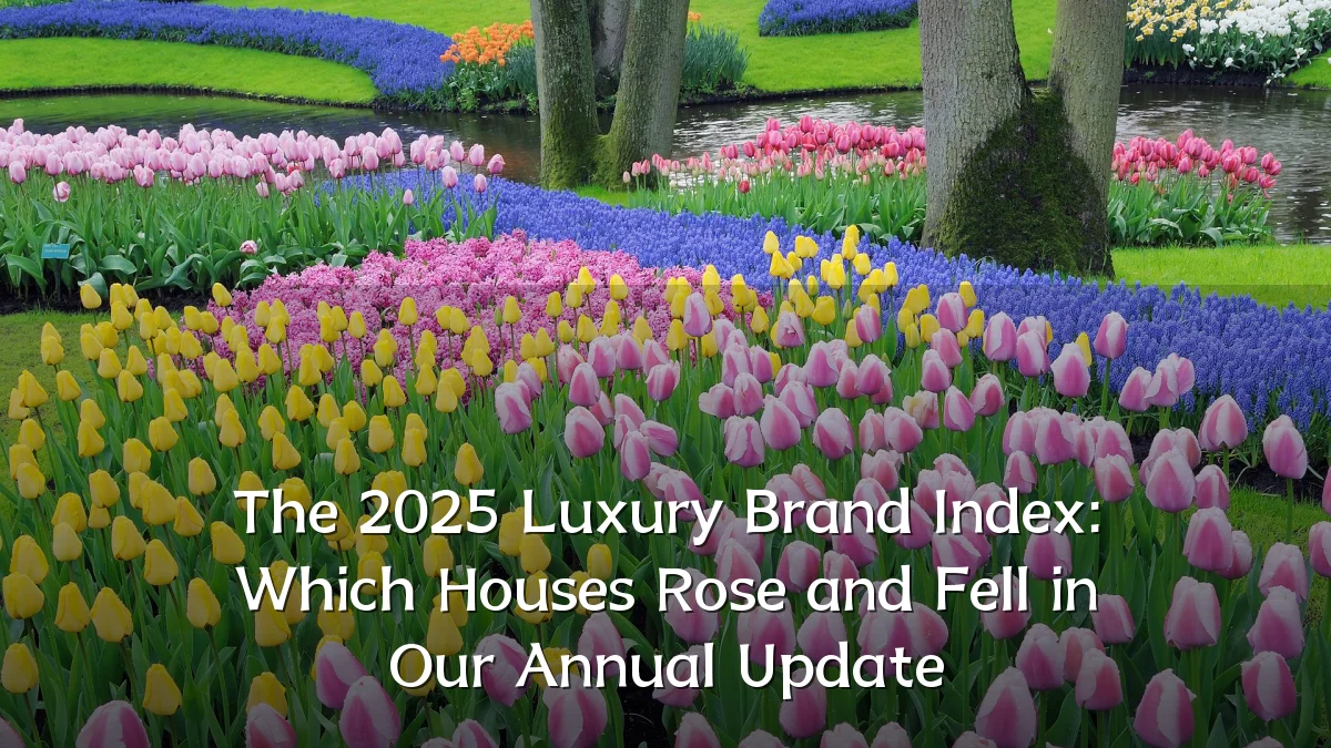 The 2025 Luxury Brand Index: Which Houses Rose and Fell in Our Annual Update