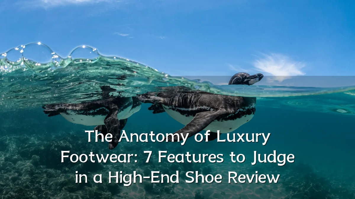 The Anatomy of Luxury Footwear: 7 Features to Judge in a High-End Shoe Review