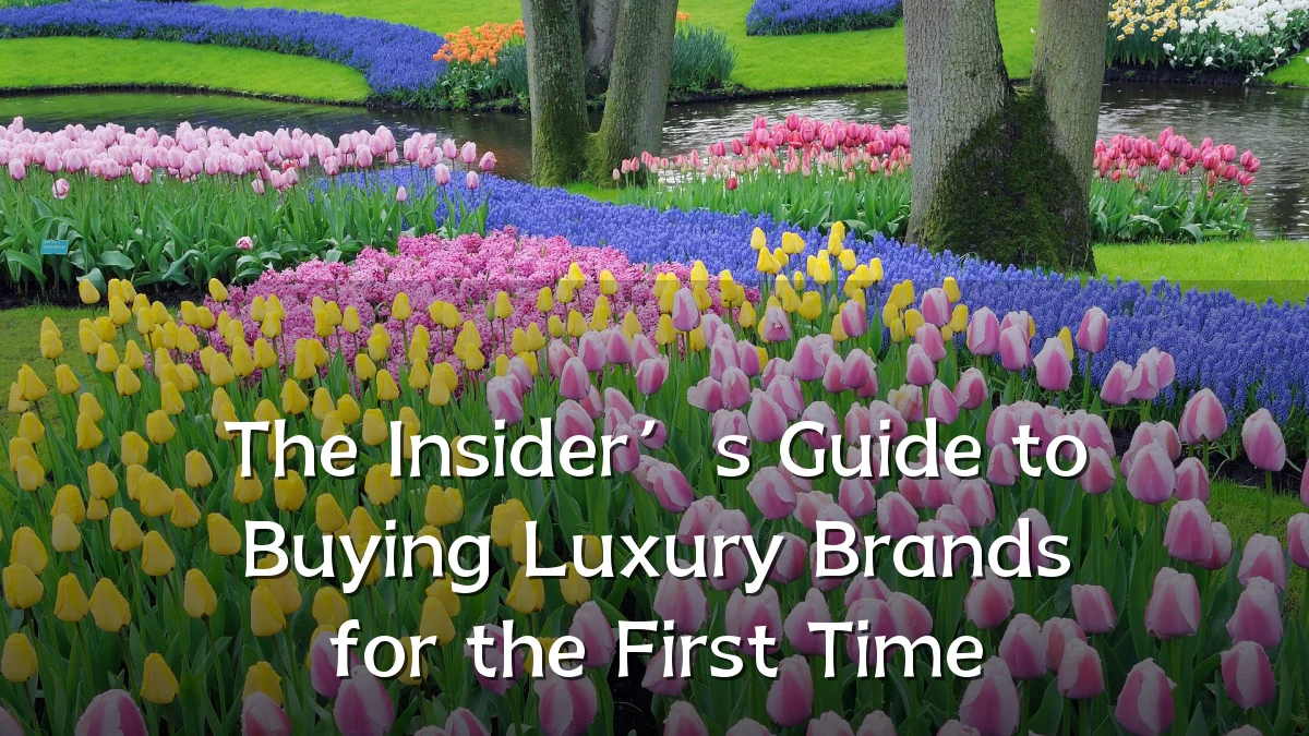 The Insider’s Guide to Buying Luxury Brands for the First Time
