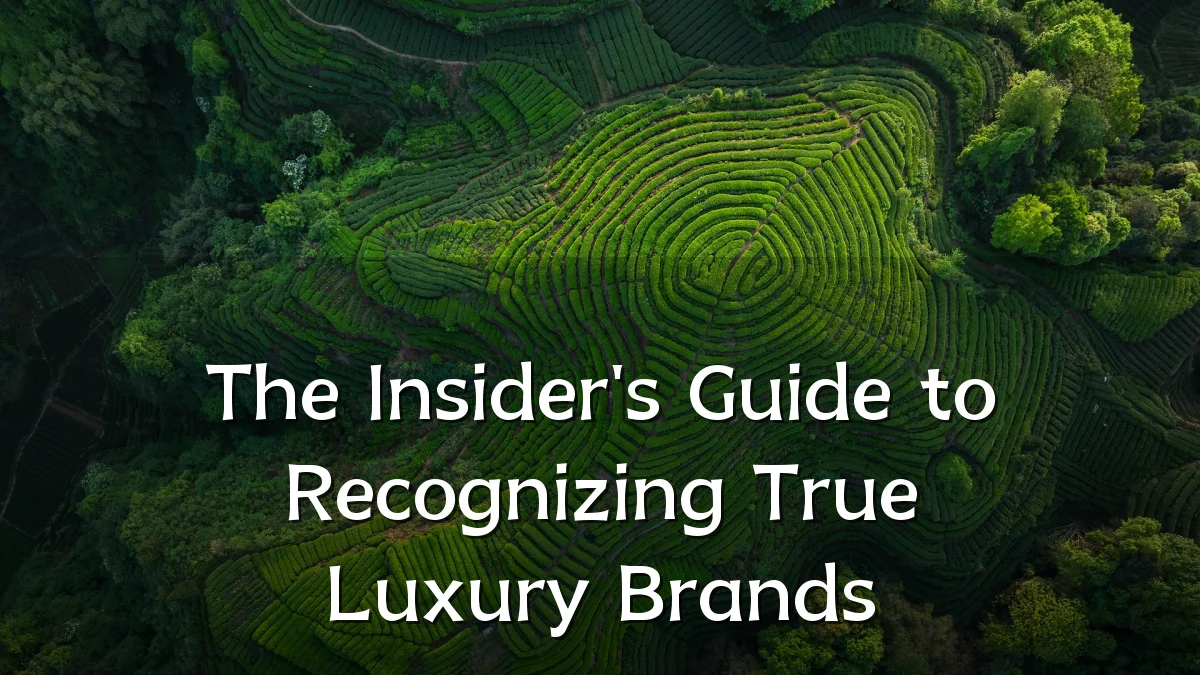 The Insider's Guide to Recognizing True Luxury Brands