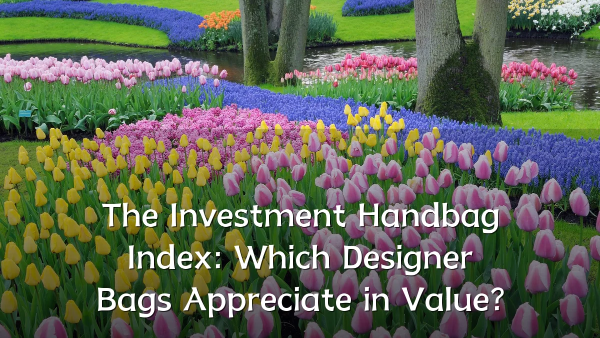 The Investment Handbag Index: Which Designer Bags Appreciate in Value?