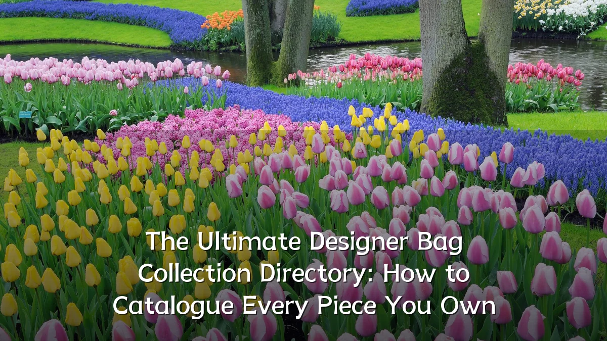 The Ultimate Designer Bag Collection Directory: How to Catalogue Every Piece You Own