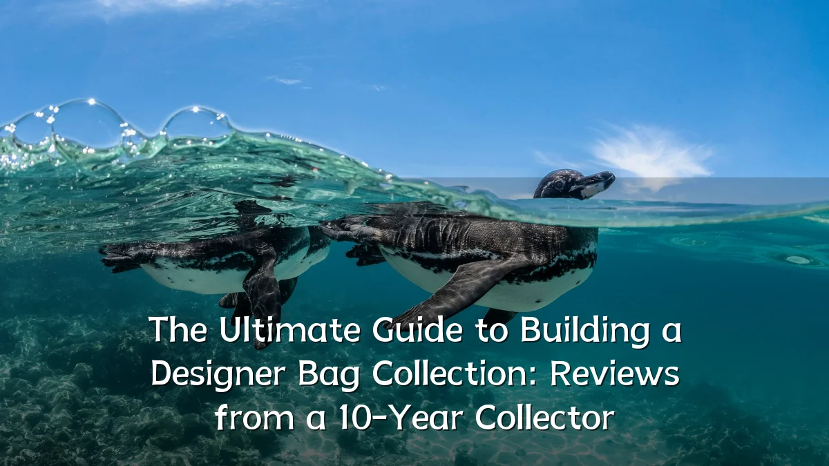 The Ultimate Guide to Building a Designer Bag Collection: Reviews from a 10-Year Collector