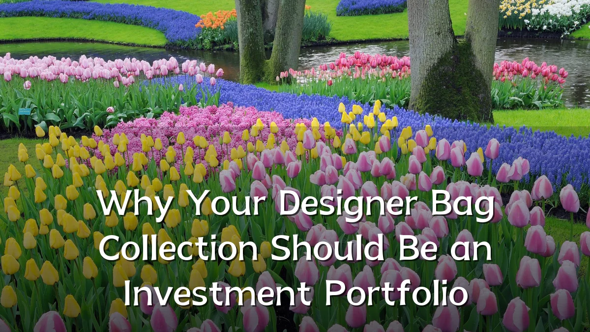 Why Your Designer Bag Collection Should Be an Investment Portfolio
