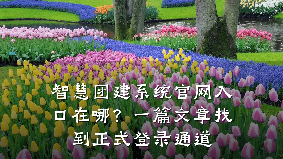 智慧团建系统官网入口在哪?一篇文章找到正式登录通道